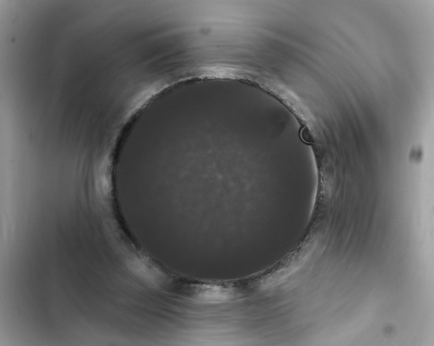 X0000101980347200808151406