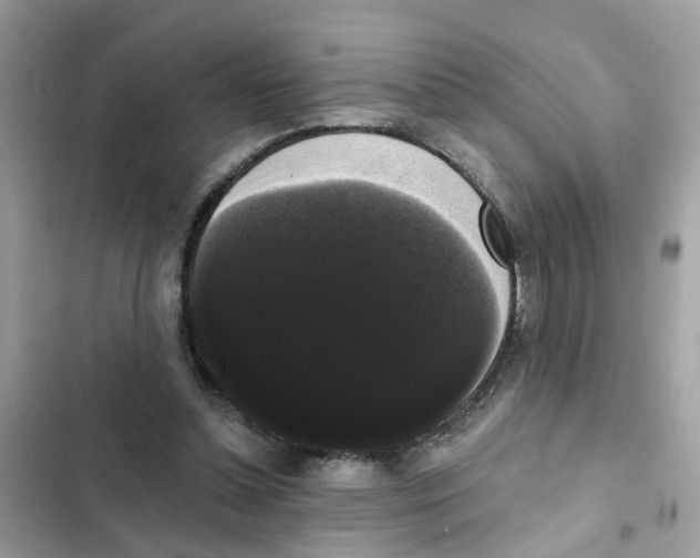 X0000101980348200808151406