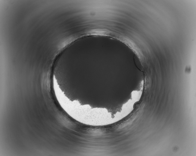 X0000101980349200808151406