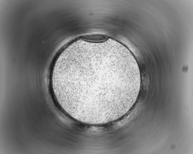 X0000101980350200808151406