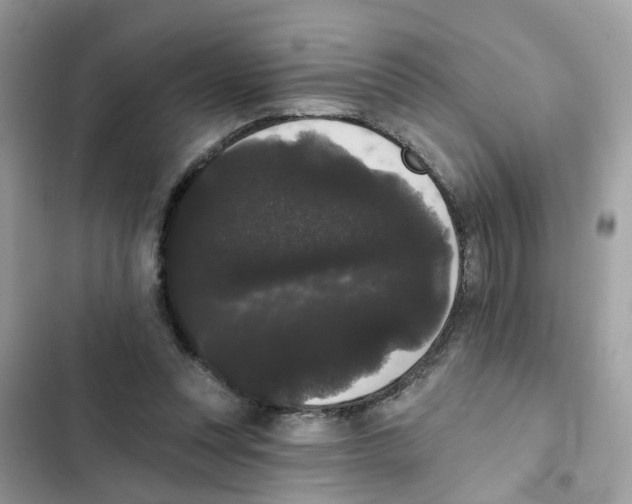 X0000101980351200808151406