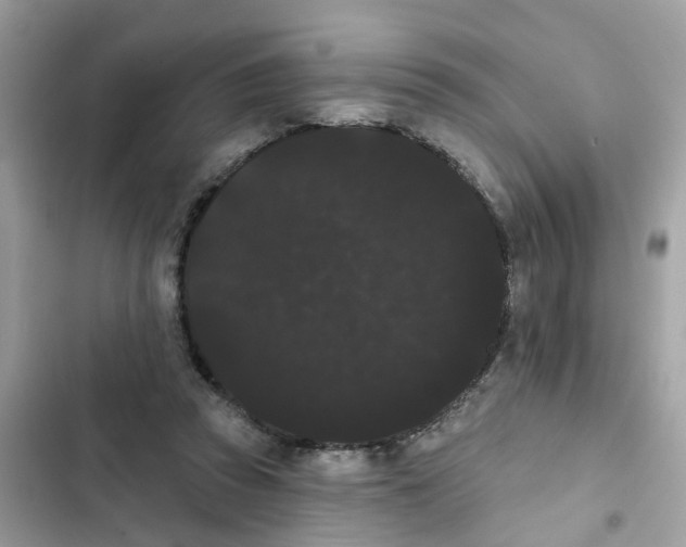 X0000101980353200808151406