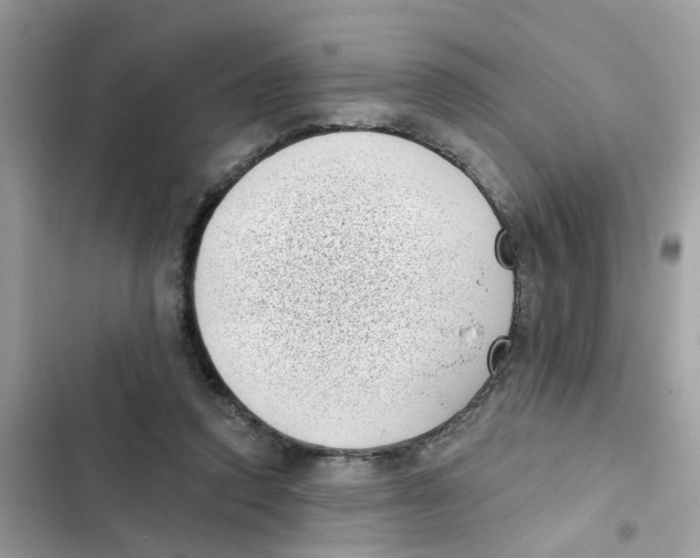 X0000101980354200808151406