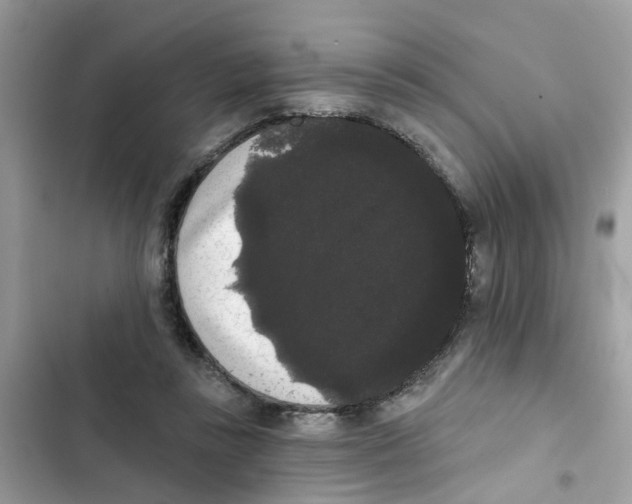 X0000101980355200808151406