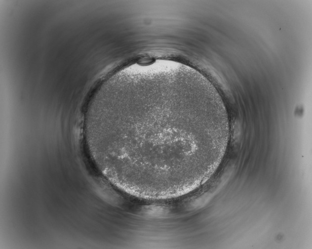 X0000101980356200808151406