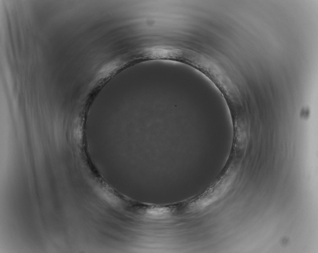 X0000101980357200808151406