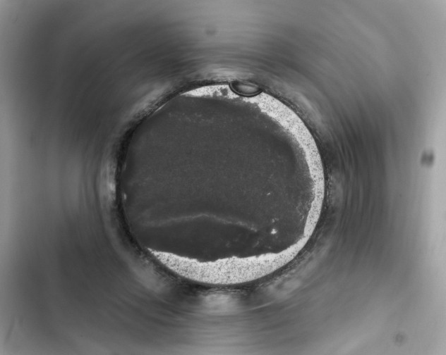 X0000101980358200808151406