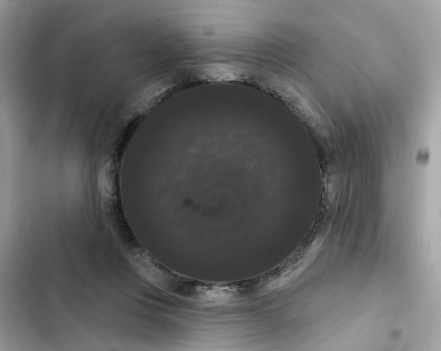 X0000101980359200808151406