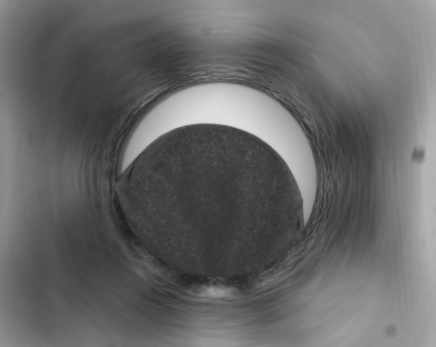 X0000101980360200808151406