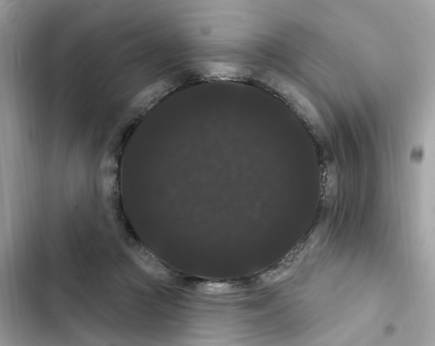 X0000101980361200808151406