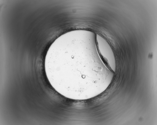 X0000101980362200808151406