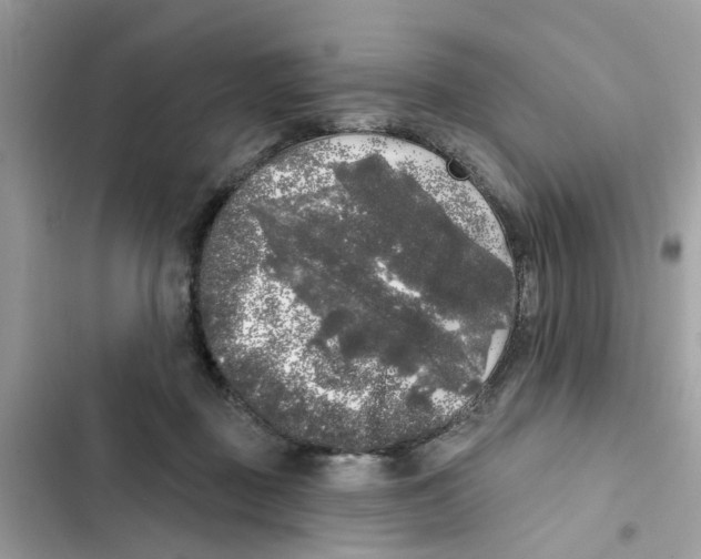 X0000101980363200808151406