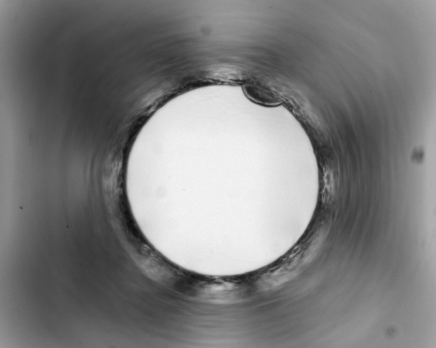 X0000101980364200808151406