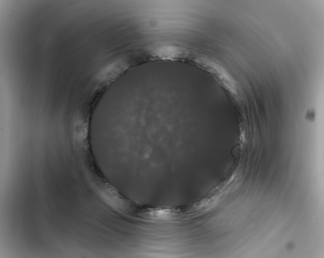 X0000101980365200808151406