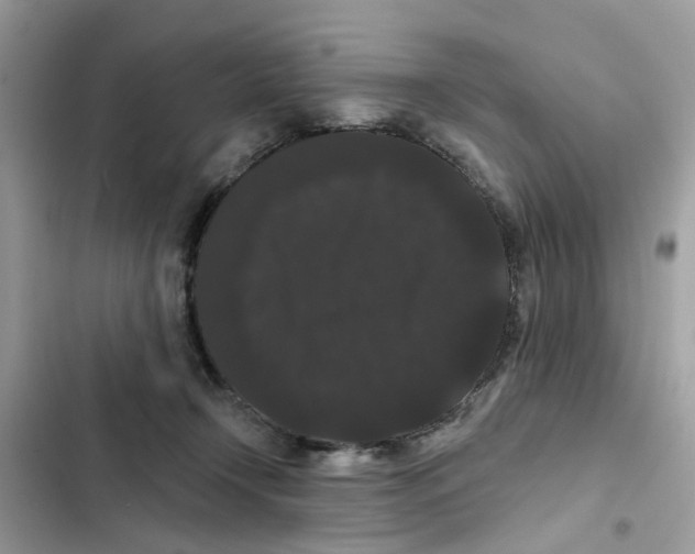 X0000101980366200808151406