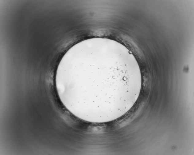 X0000101980368200808151406