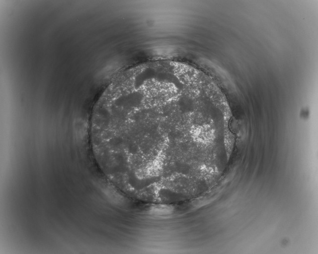 X0000101980369200808151406