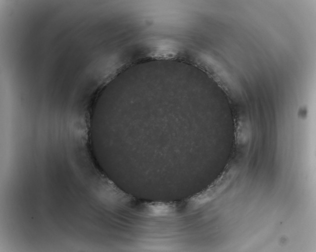 X0000101980370200808151407