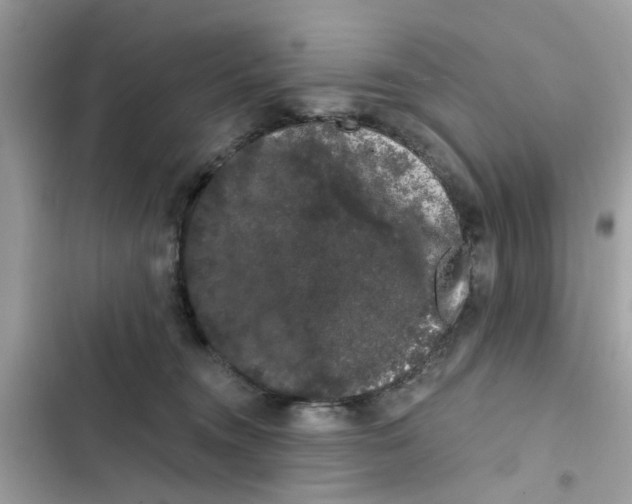 X0000101980372200808151407