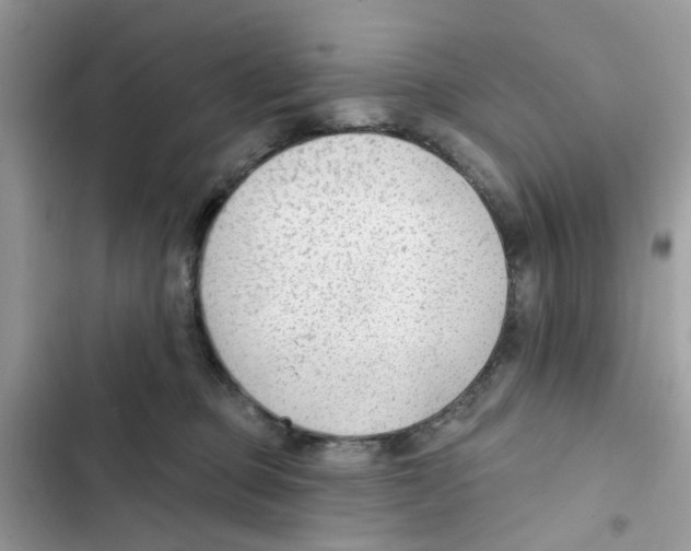 X0000101980373200808151407