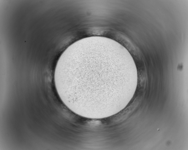 X0000101980374200808151407