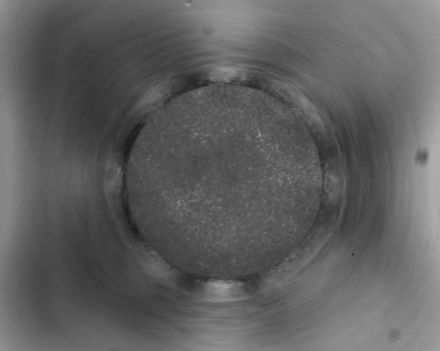 X0000101980375200808151407