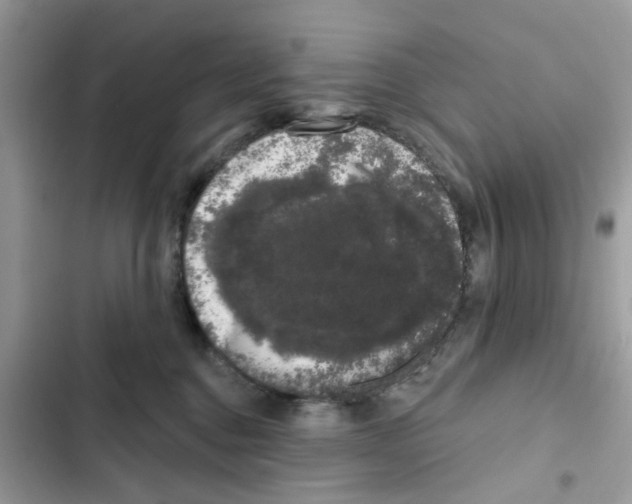 X0000101980376200808151407