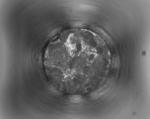 X0000101980377200808151407