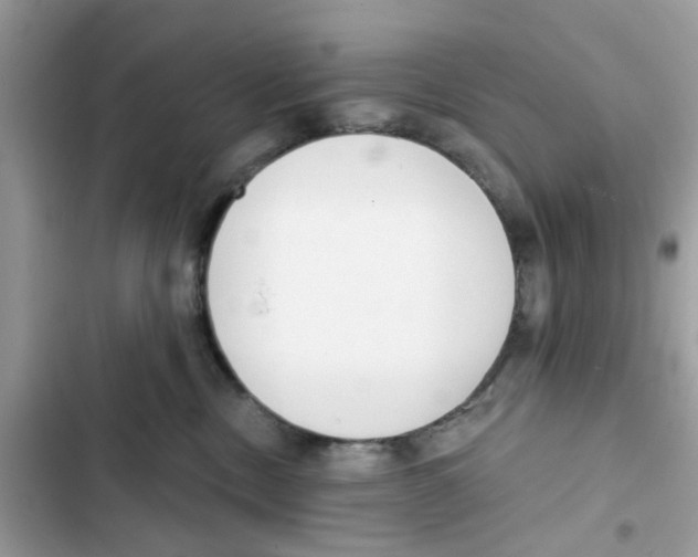 X0000101980378200808151407