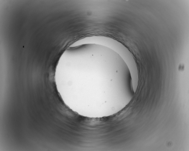 X0000101980384200808151407