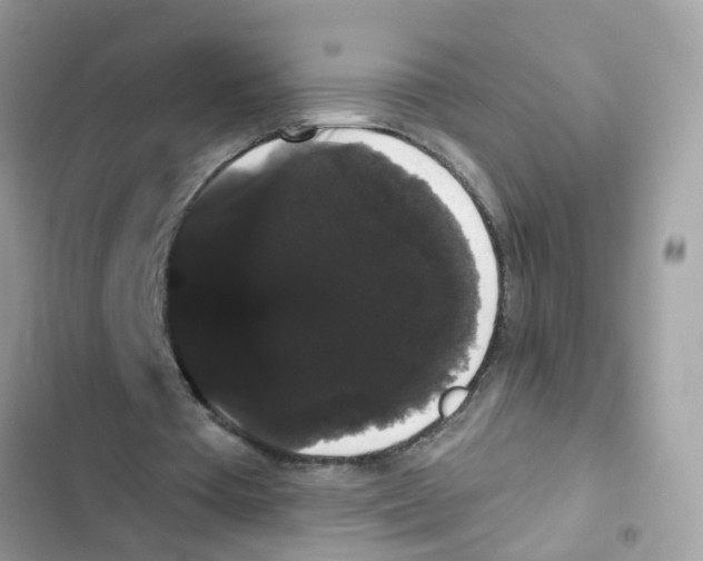 X0000101980385200808151406