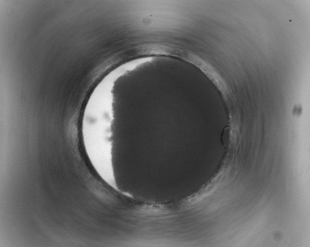 X0000101980386200808151406