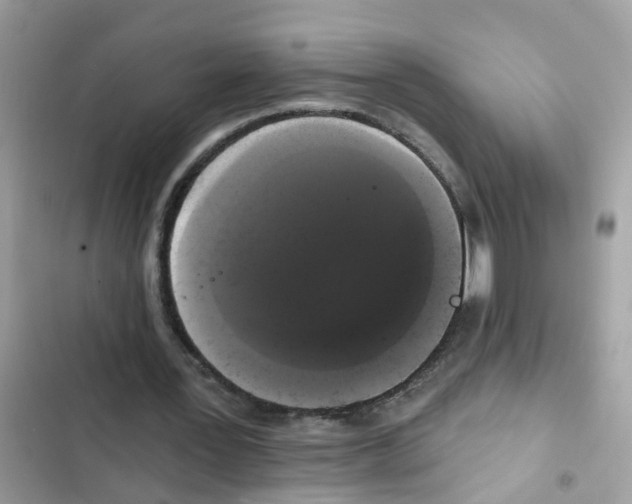 X0000101980387200808151406