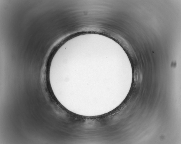 X0000101980388200808151406