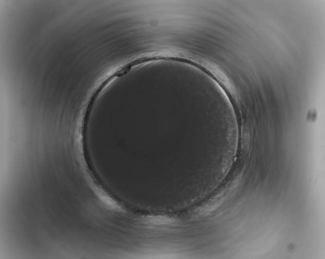 X0000101980389200808151406