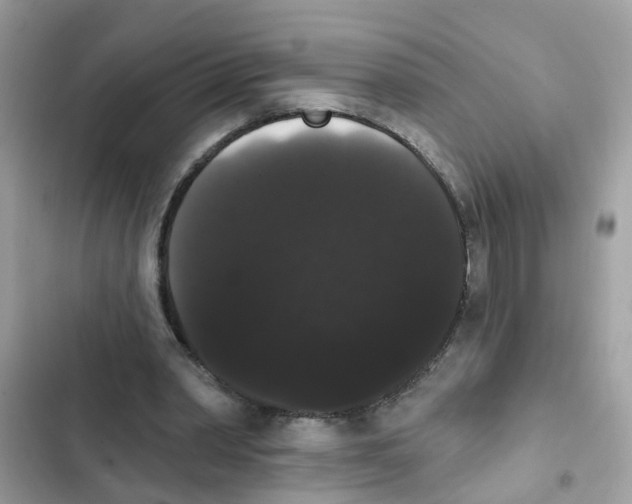 X0000101980390200808151406