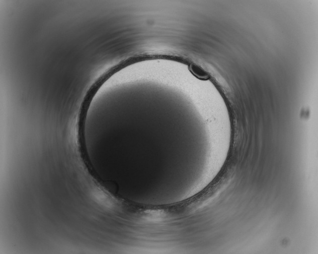 X0000101980391200808151406