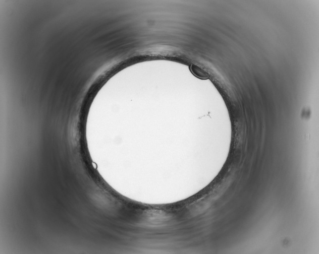 X0000101980392200808151406