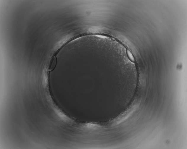 X0000101980393200808151406