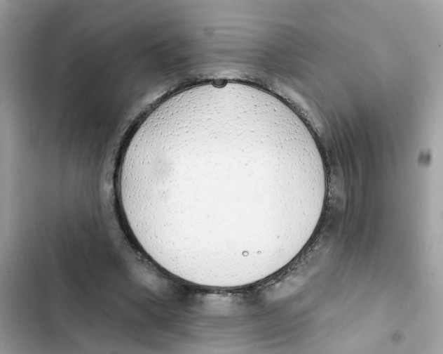 X0000101980394200808151406