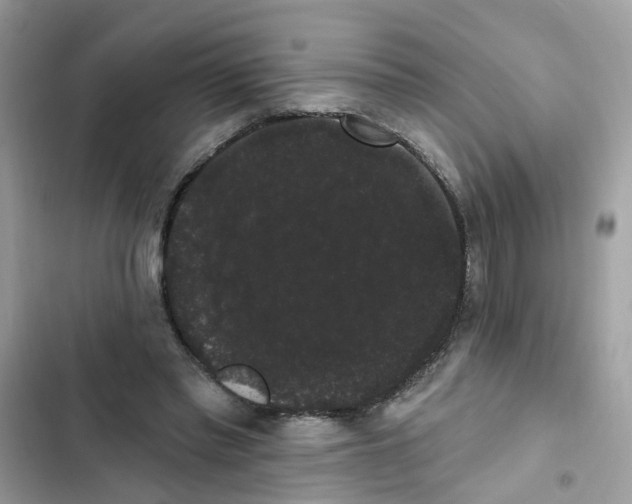 X0000101980397200808151406