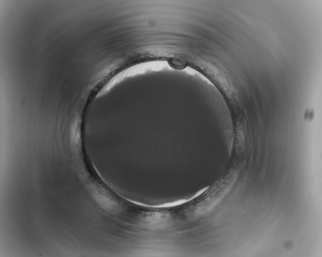 X0000101980398200808151406