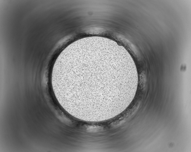 X0000101980400200808151406