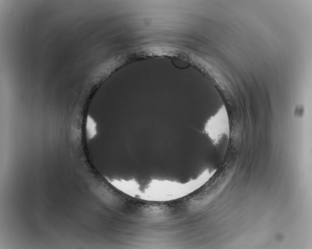 X0000101980402200808151406