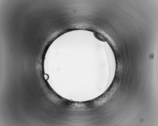 X0000101980403200808151406