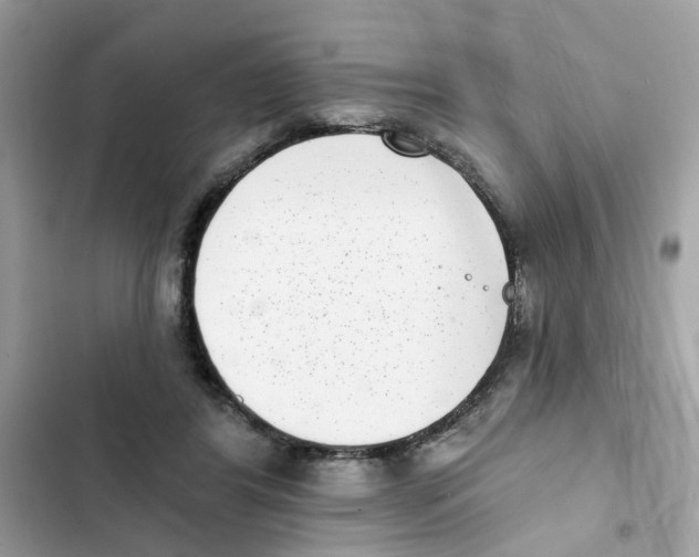 X0000101980404200808151406