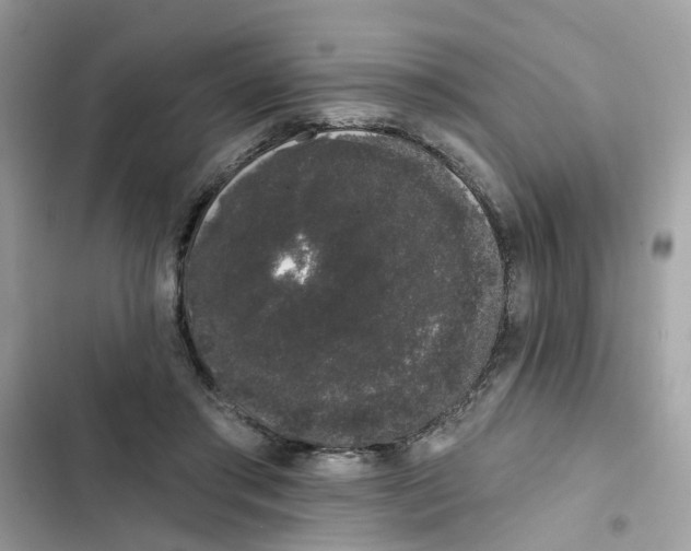 X0000101980405200808151406