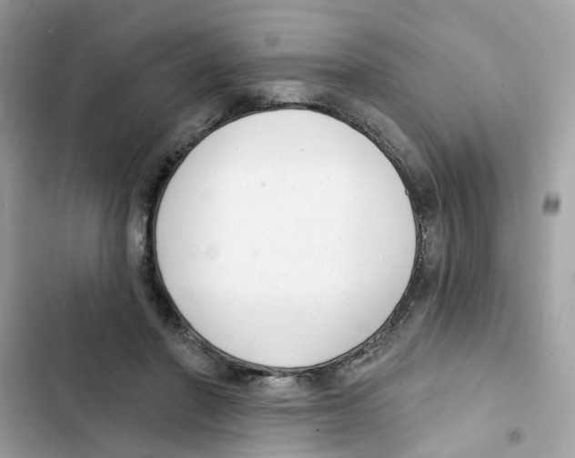 X0000101980406200808151406