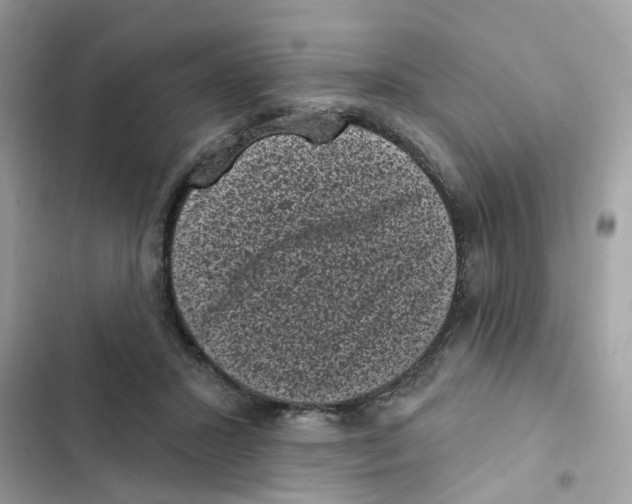 X0000101980407200808151406