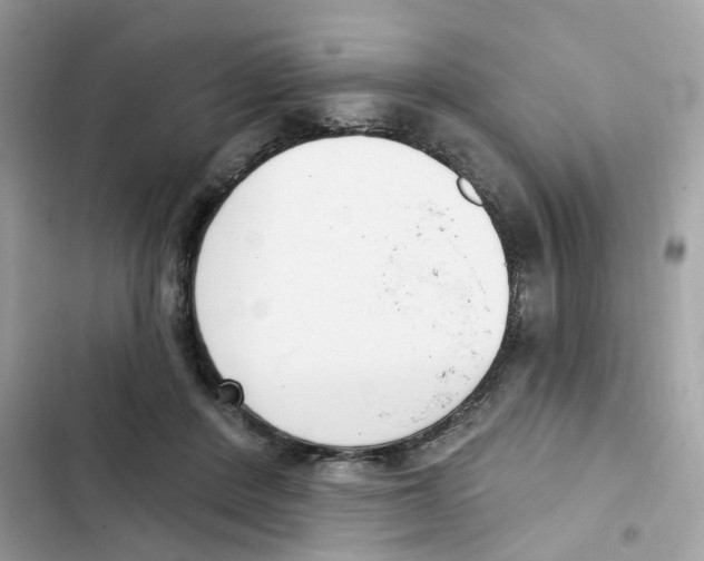 X0000101980408200808151406